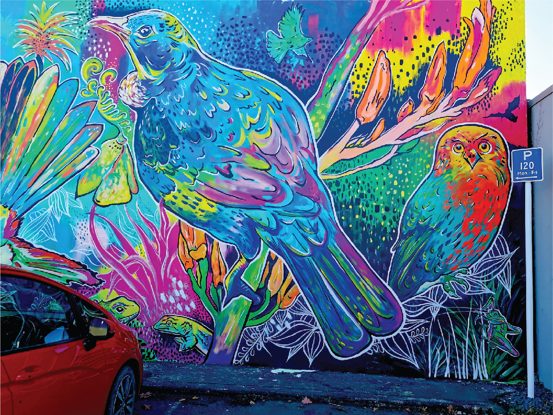 bright coloured mural painting of native NZ birds
