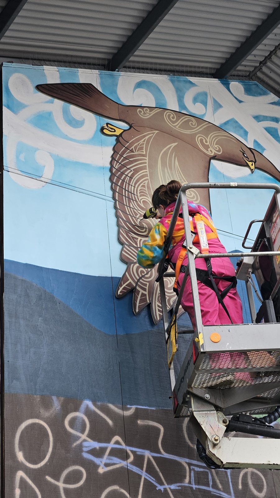 Around The Tree mural in progress — a native bird shape being painted from the lift platform