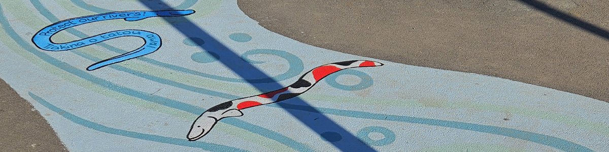 Tiaki Tuna groundwork — painted tuna (eel) swimming through a blue river pattern on the playground, with the message 'Protect our rivers,' Halswell Primary School