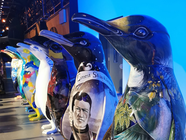 Birds of a Feather — row of painted penguin sculptures on display at the Wild In Art Pop-up Penguins trail