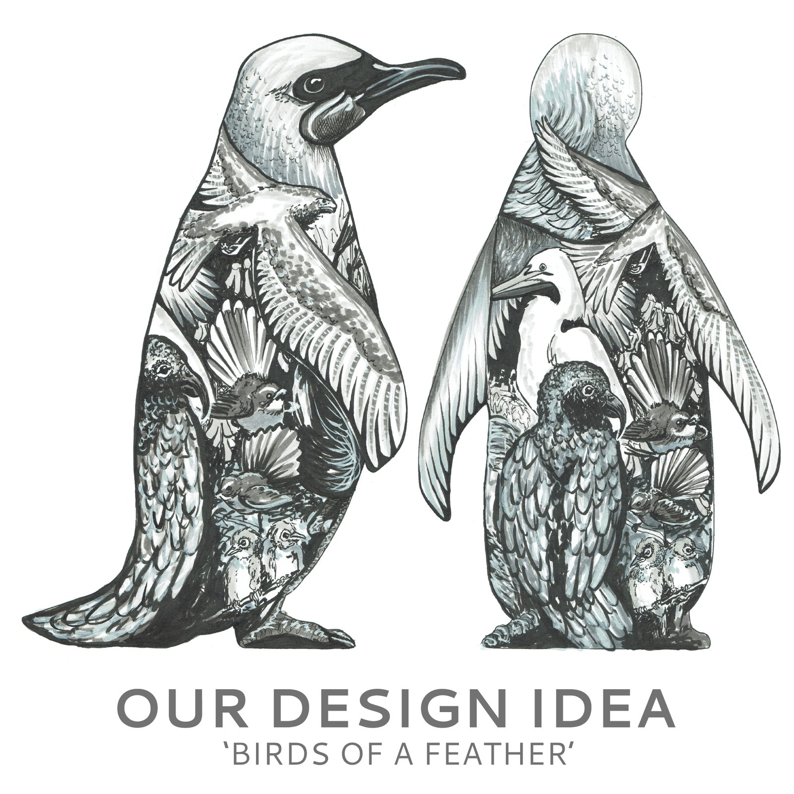 Birds of a Feather design concept — line drawing of two penguins for 'Our Design Idea'