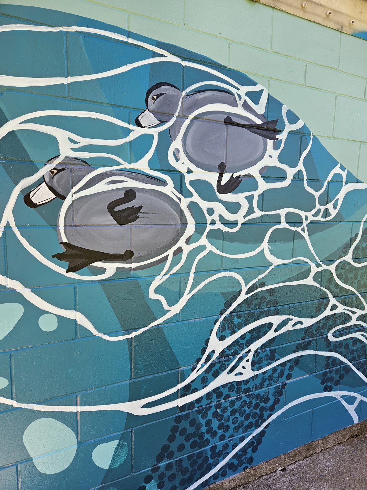 Flowing With Whio mural detail — close-up of the whio (blue duck) design with white line work