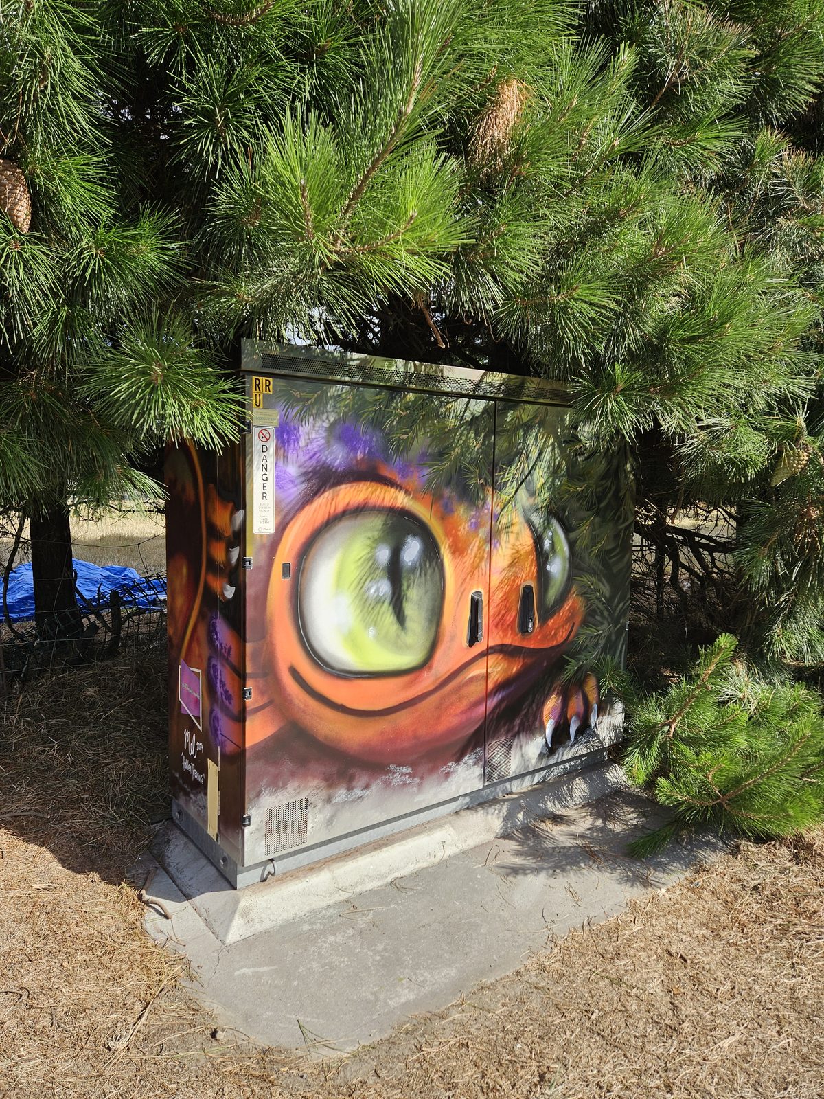 Hidden Treasure mural — finished dragon design tucked into the pine hedge