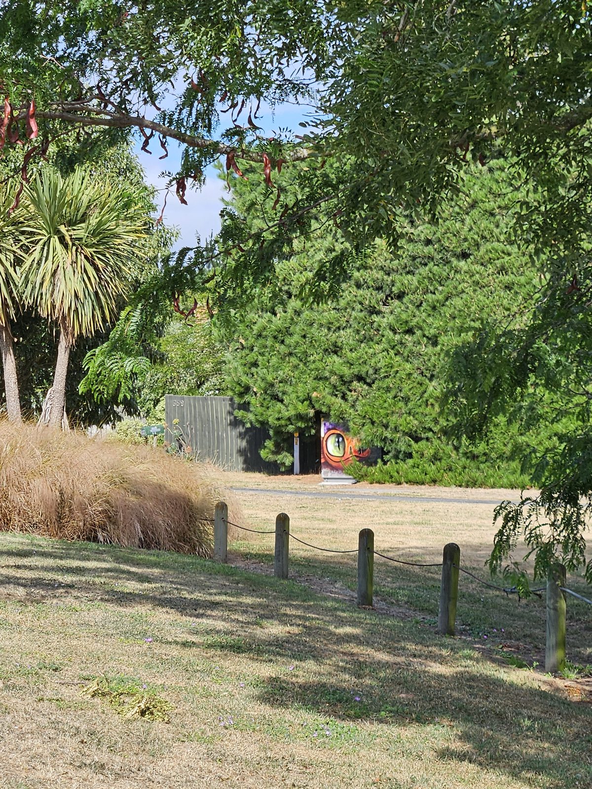 Hidden Treasure — grassy roadside near the mural site
