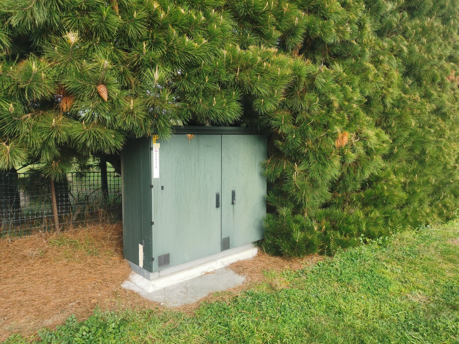 Hidden Treasure — plain Chorus cabinet in the hedge before the mural