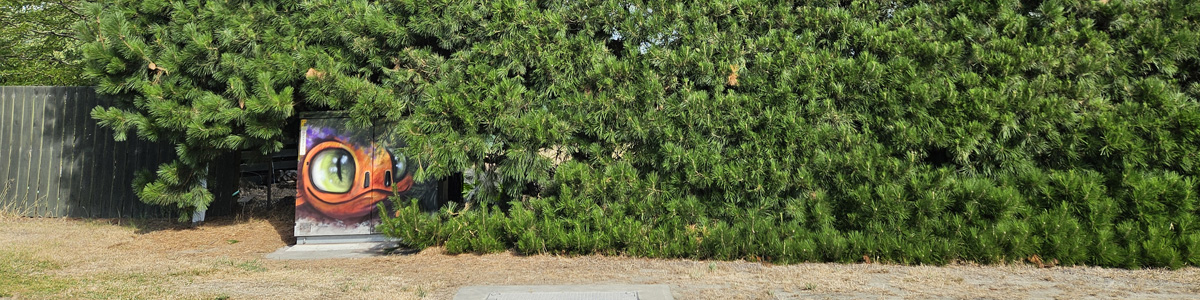 Hidden Treasure mural — the dragon's eye peeking out from a Chorus street cabinet almost hidden inside a large pine hedge