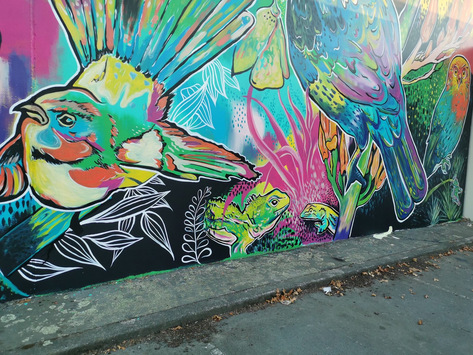 In Our Hands mural detail — close-up of the colourful abstract bird and insect pattern