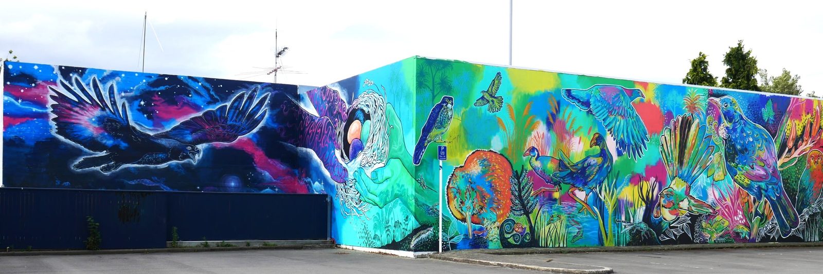 In Our Hands mural — finished wide view of the Haast eagle and colourful native birds across the Rangiora carpark wall