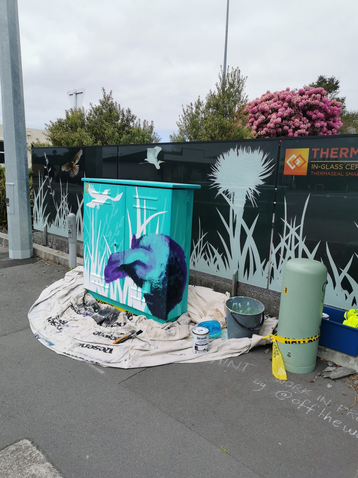 Tui Song mural in progress — the tui shape blocked in on the teal cabinet