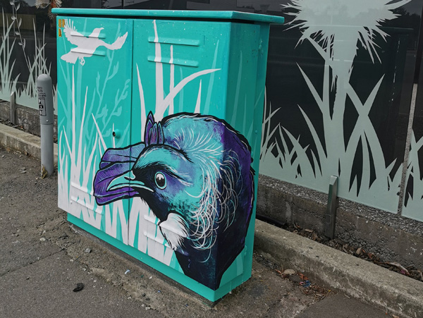 Tui Song mural — a tui painted on a teal Chorus street cabinet, set against silhouette flax and grasses