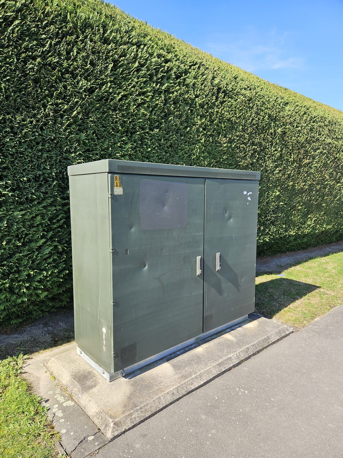 Urban Oasis — plain grey Chorus cabinet before the mural, in front of the hedge