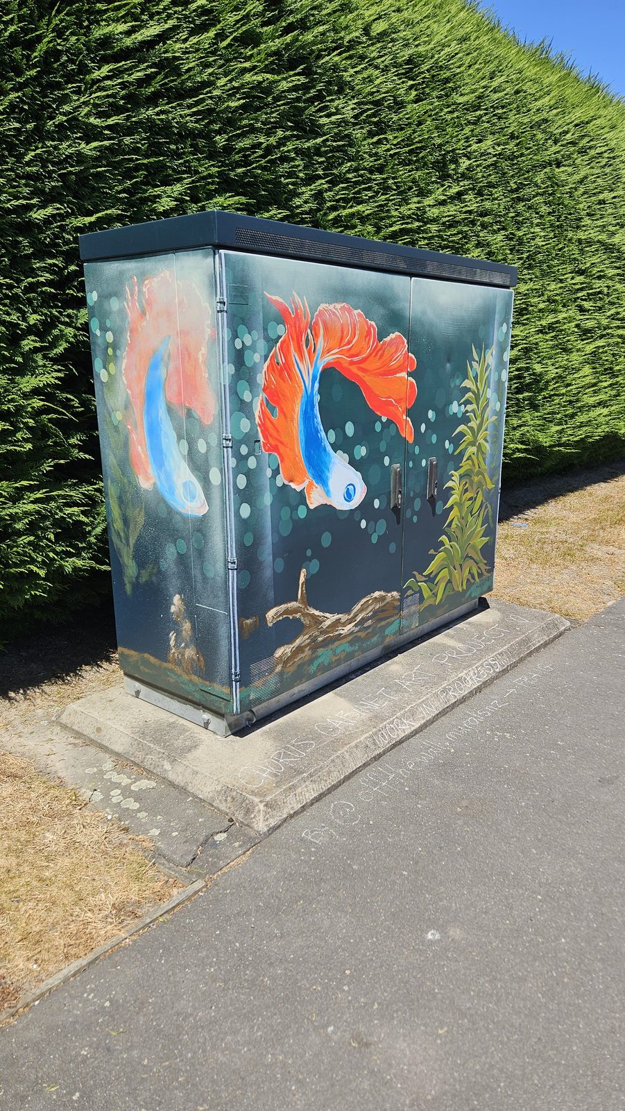 Urban Oasis mural — finished trompe l'oeil aquarium design with the betta fish and seaweed